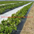 Agriculture Weed Control Spunbonded PP Nonwoven Fabric
